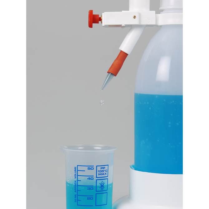 Трусиканы тістермен қалай шешуге болатыны туралы фото